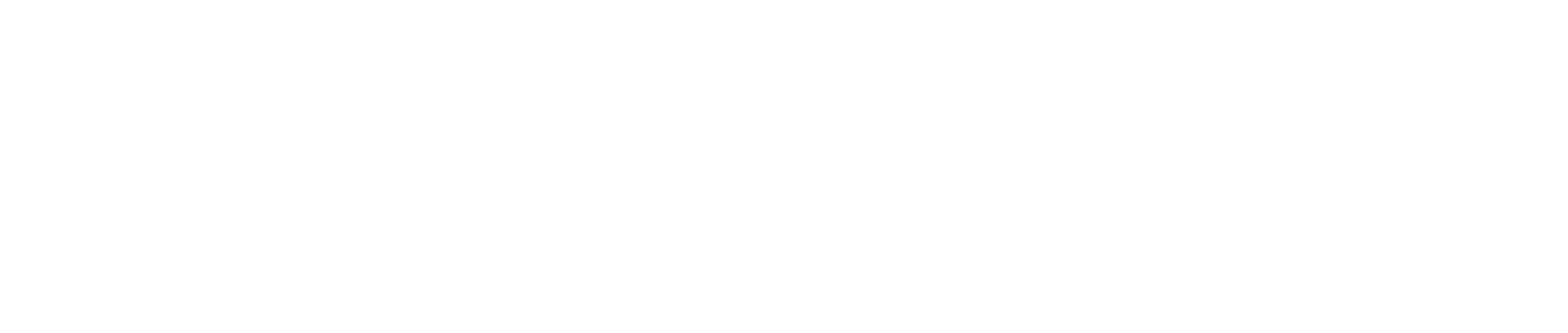 logo fp cmyk cz white