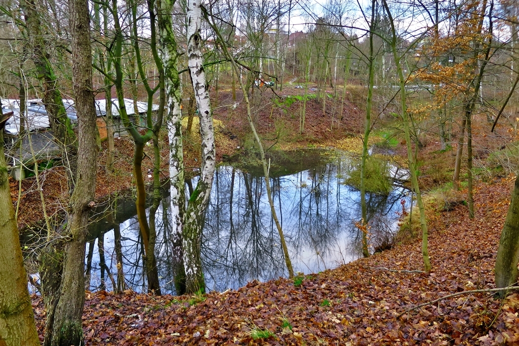 Foto zajimavost 29 Ficka